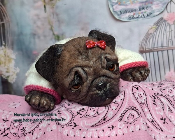 B Monty simon Laurens (1)